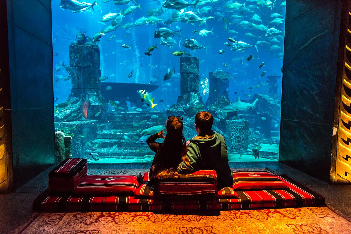 Stay-at-an-Underwater-Hotel-Suite-with-Panoramic-Ocean-Views.jpg