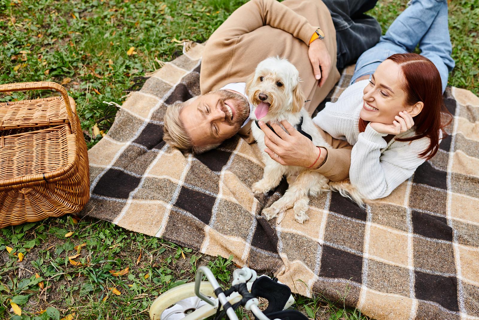 sugar-dating-with-pets.jpg